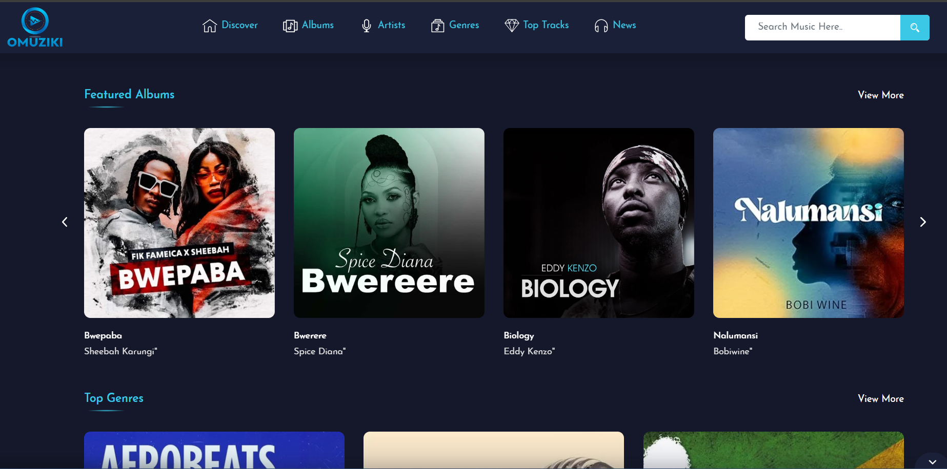 Web Design Project 11