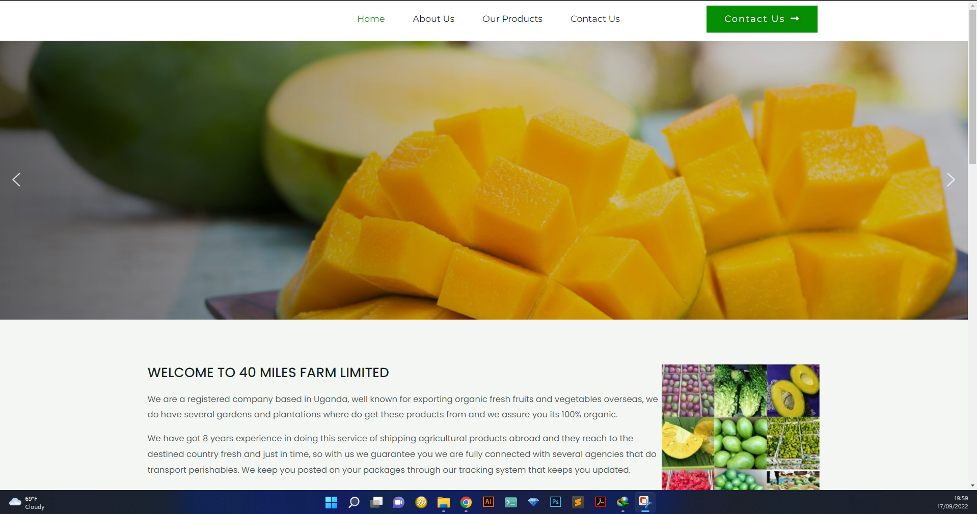 Web Design Project 42